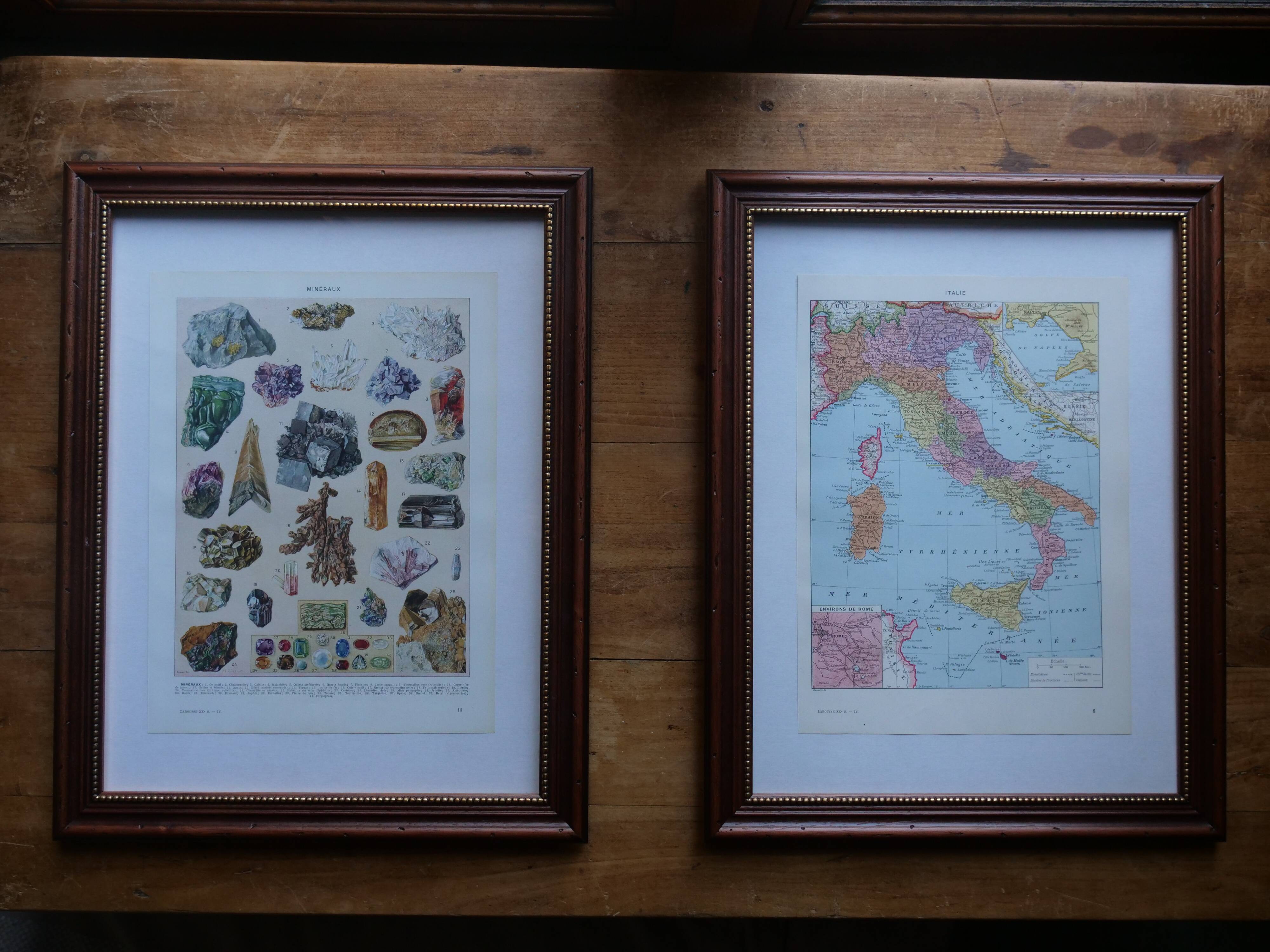 Page 1 of 12 Original lithograph on insects