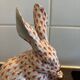 Herend Hungary the large rabbit model