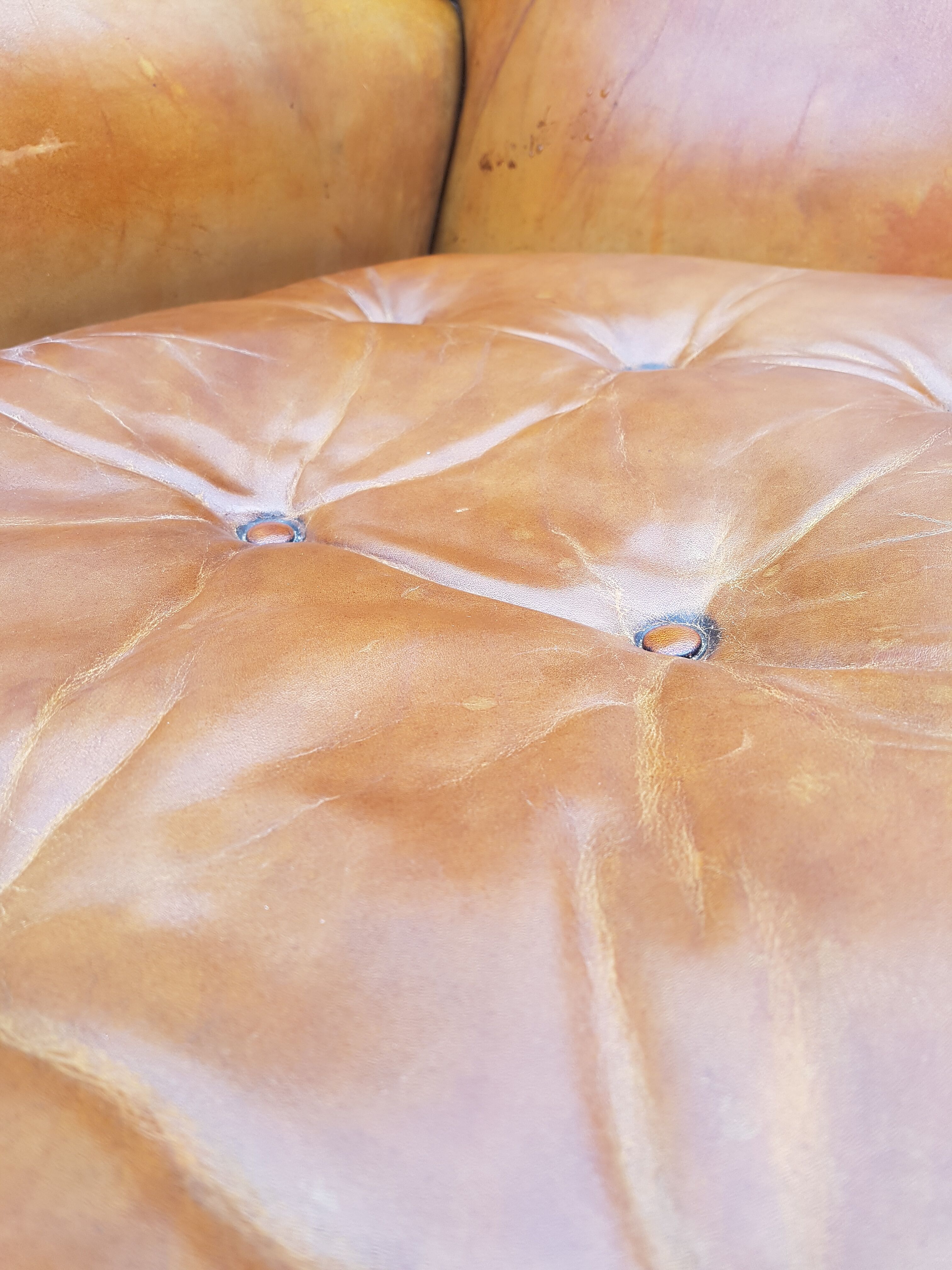 English fawn leather armchair with ears Chesterfield club