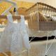 Rattan and wrought iron cradle