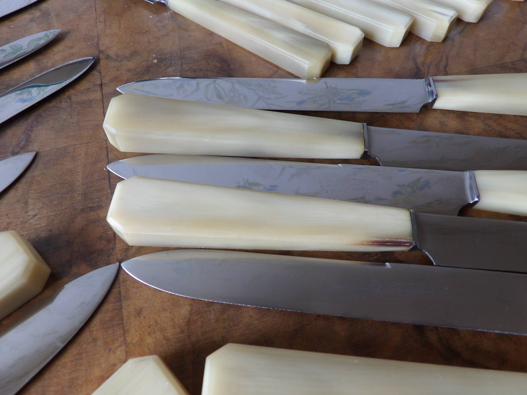 Boite de 24 couteaux