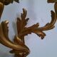 Pair of Louis XV style wall lights