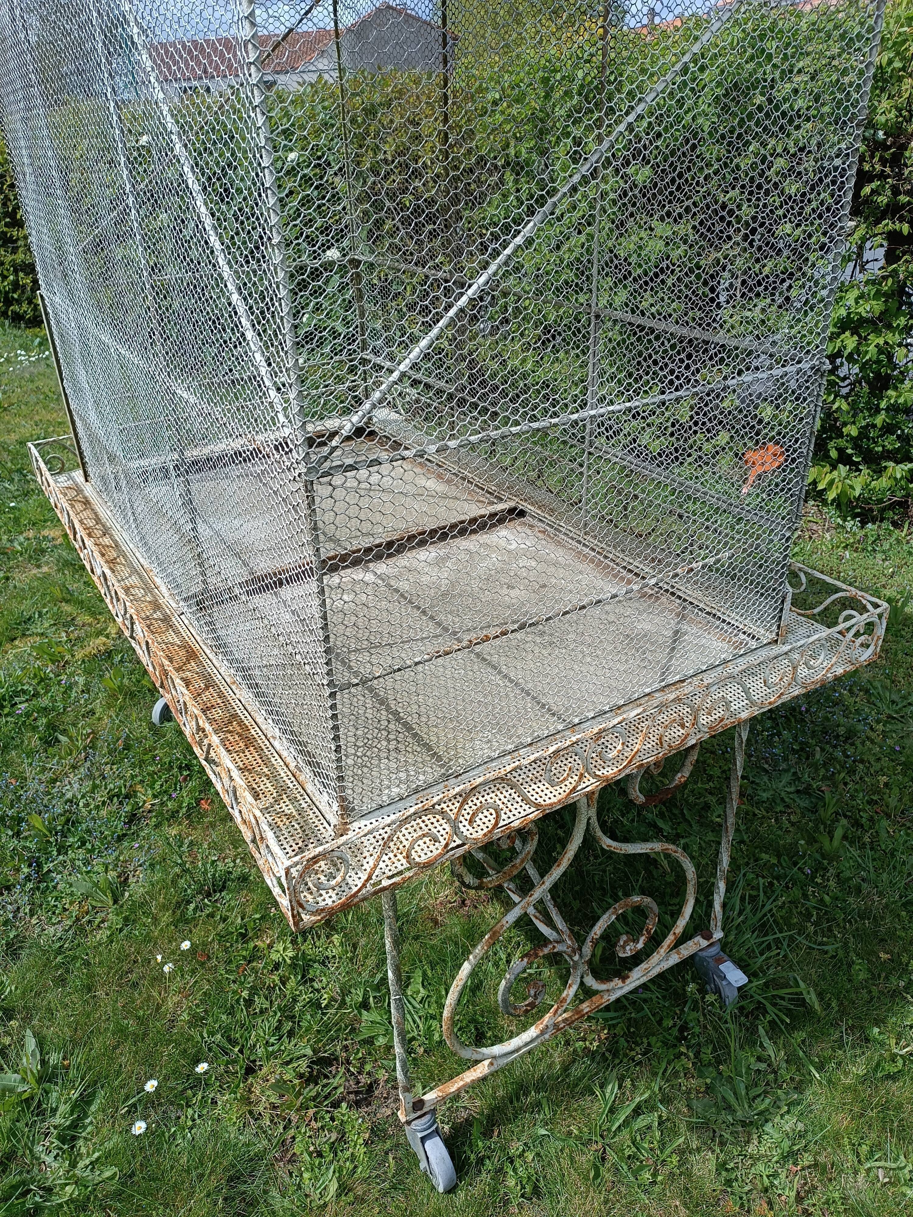 Volière cage à oiseaux fer forgé 20 ème