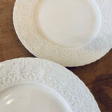 Lot of 6 Limoges plates and Ralph Lauren model Megan.