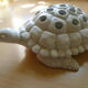 Pique flowers turtle in glazed white ceramic