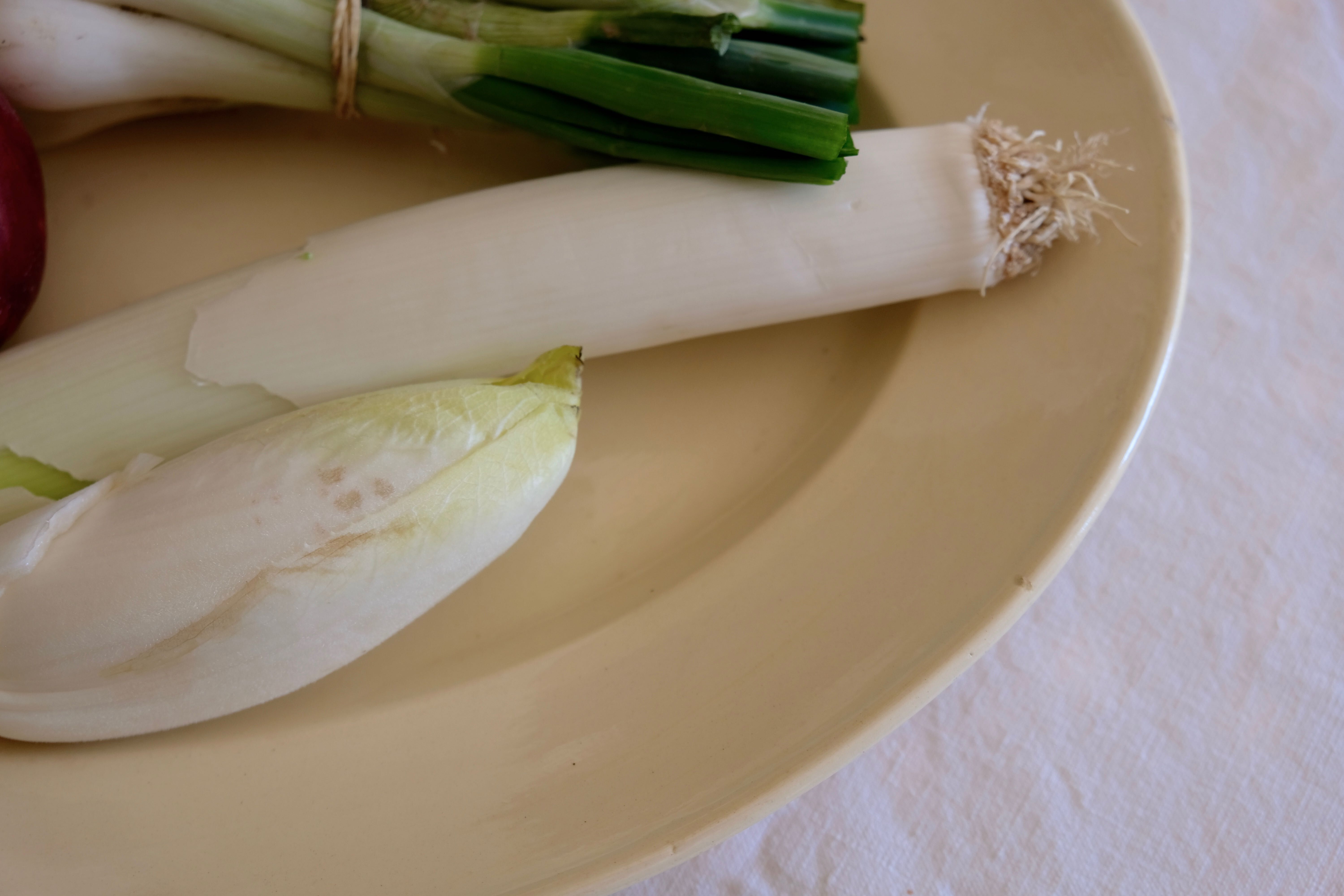 Oval serving dish Digoin Sarreguemines