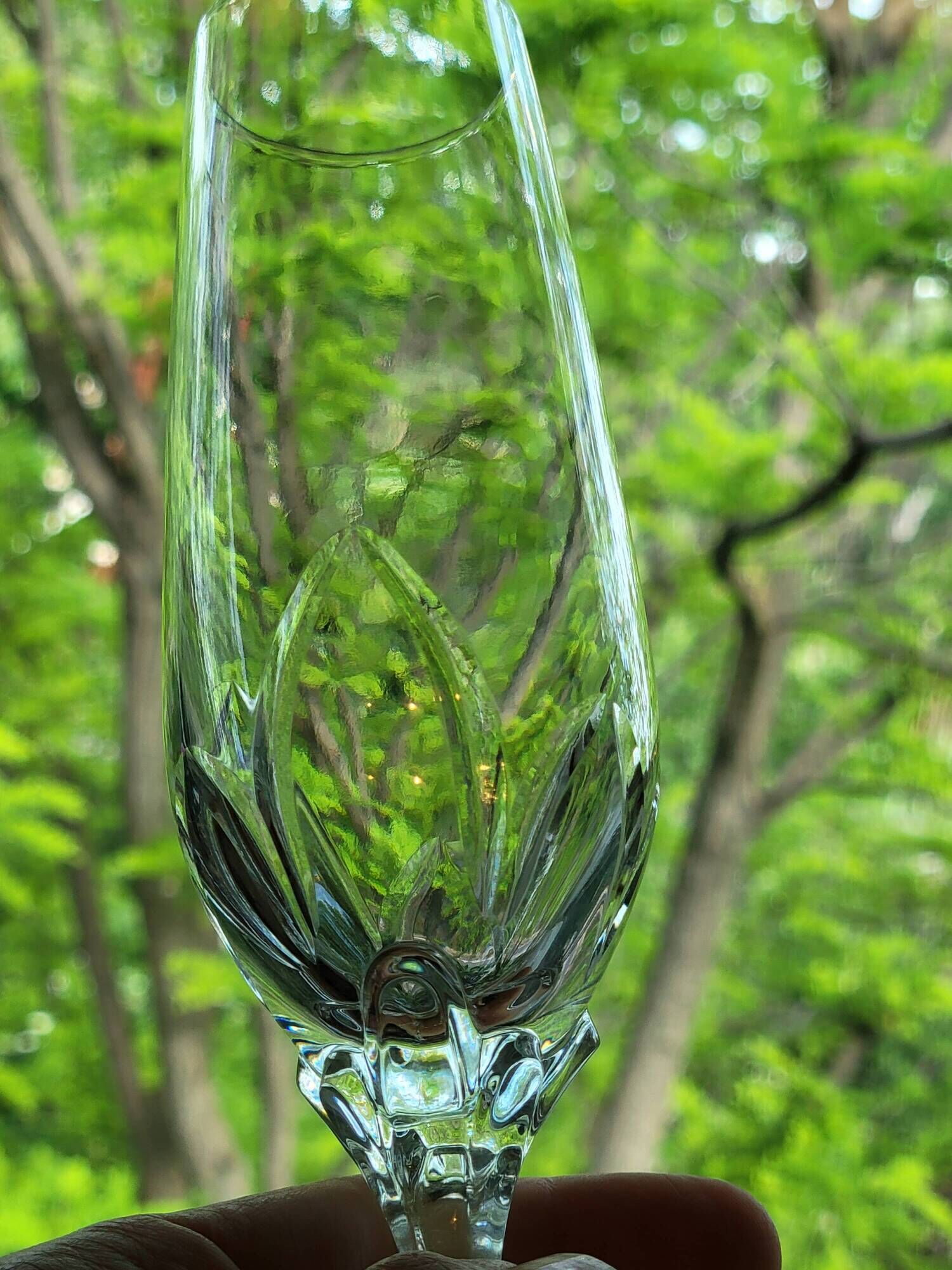 10 crystal champagne flutes 24% Cristallerie Kaspar Lemberg Lorraine vintage