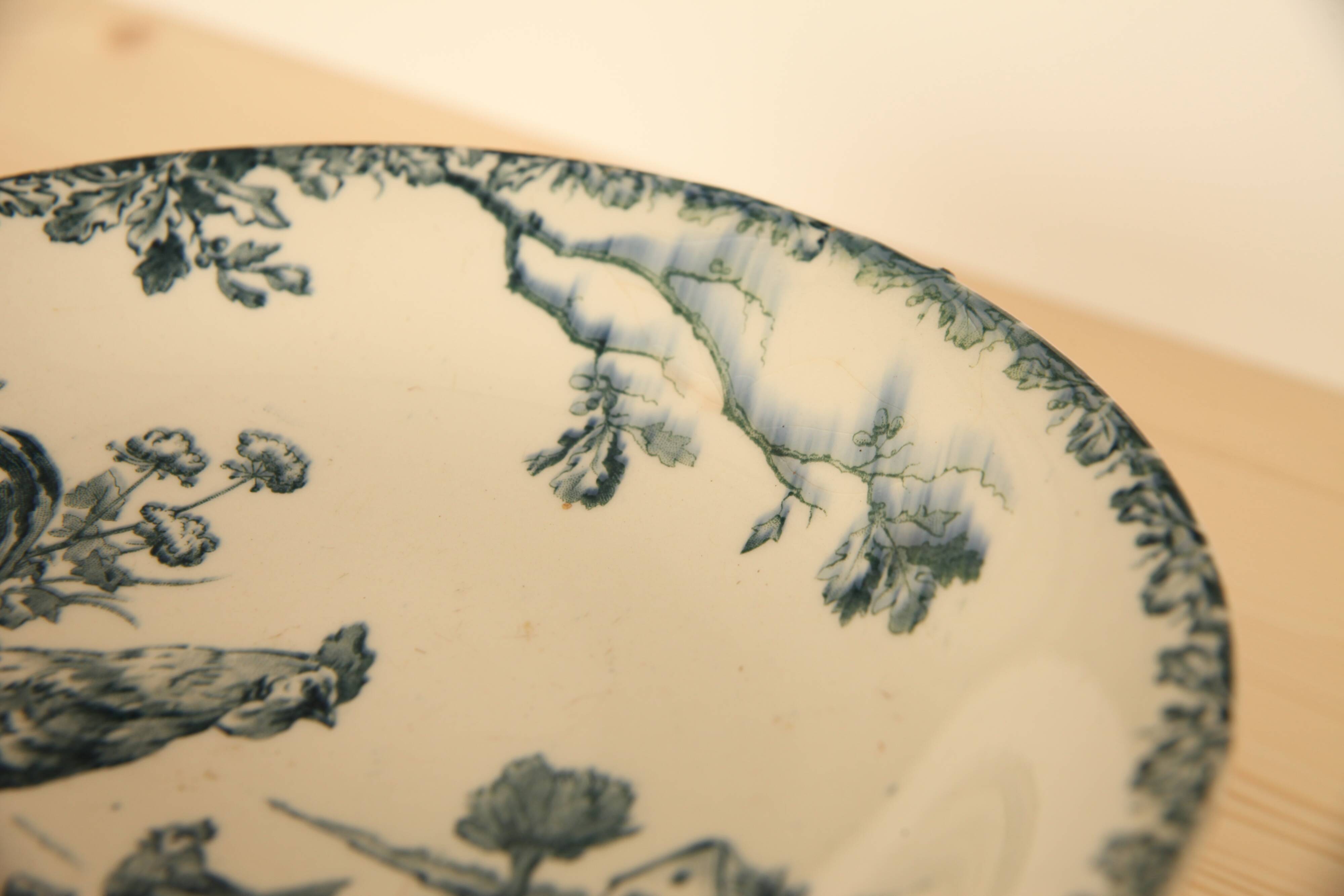 Presentation Terre de Fer collection Roosters