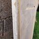 Pair of antique cupboard doors