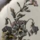 4 flat plates - Limoges porcelain, nature