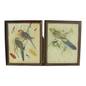 Paire de gravures aux