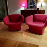 Bloomy Moroso armchair