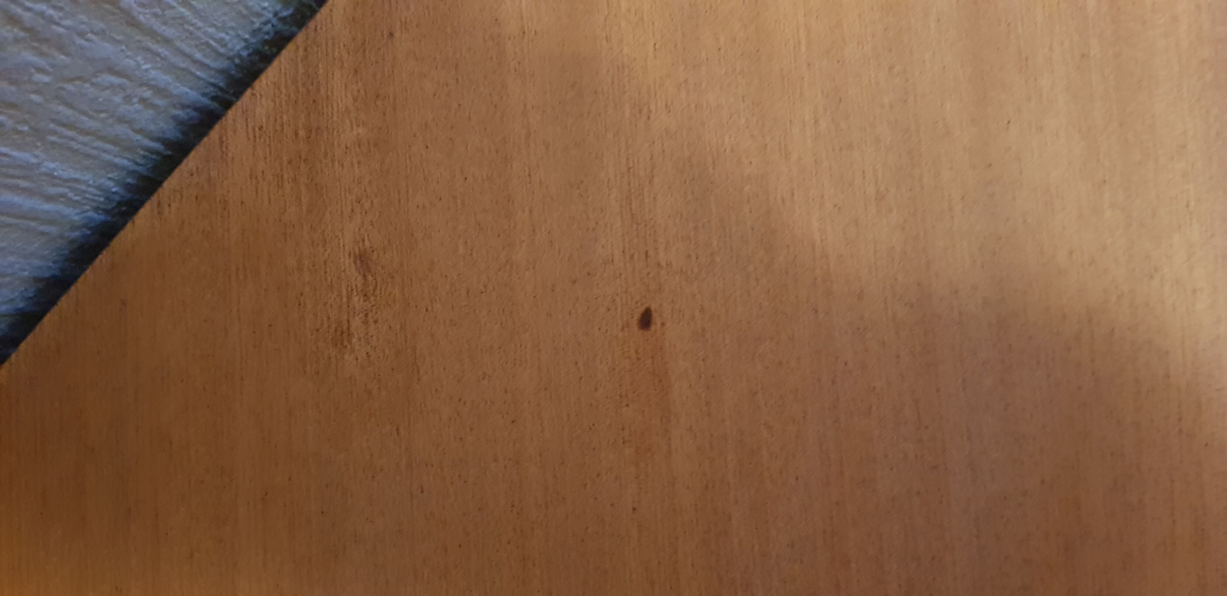 Table "junior revelation" Albert Ducrot for Ducal 1950