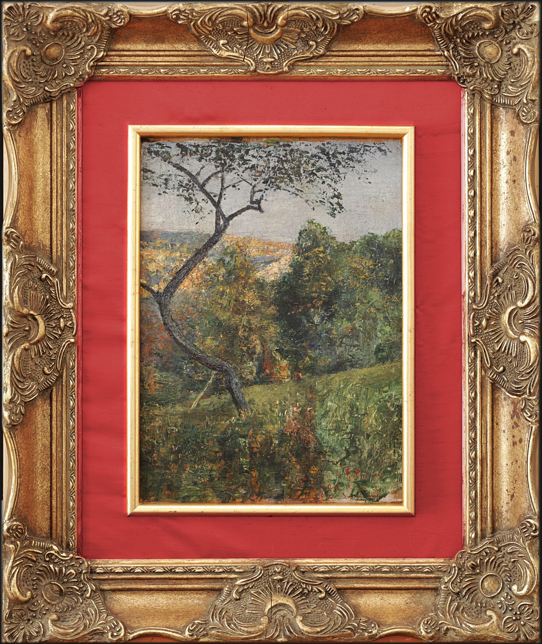 Monte Bignone, Sanremo Giuseppe Ferdinando Piana  (Ceriana 1864 – Bordighera 1956)