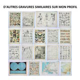 Gravure • Architecture 2, maison, dessin • Lithographie originale et vintage de 1898