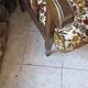 Fauteuil années 60/70