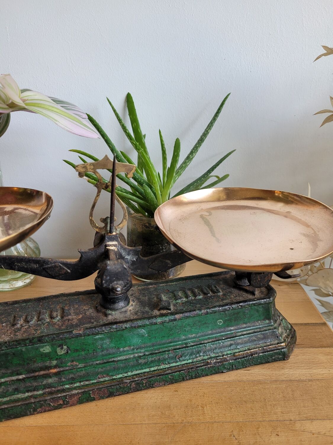 Cast iron scale copper trays