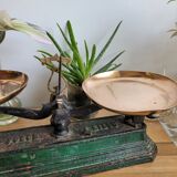 Cast iron scale copper trays