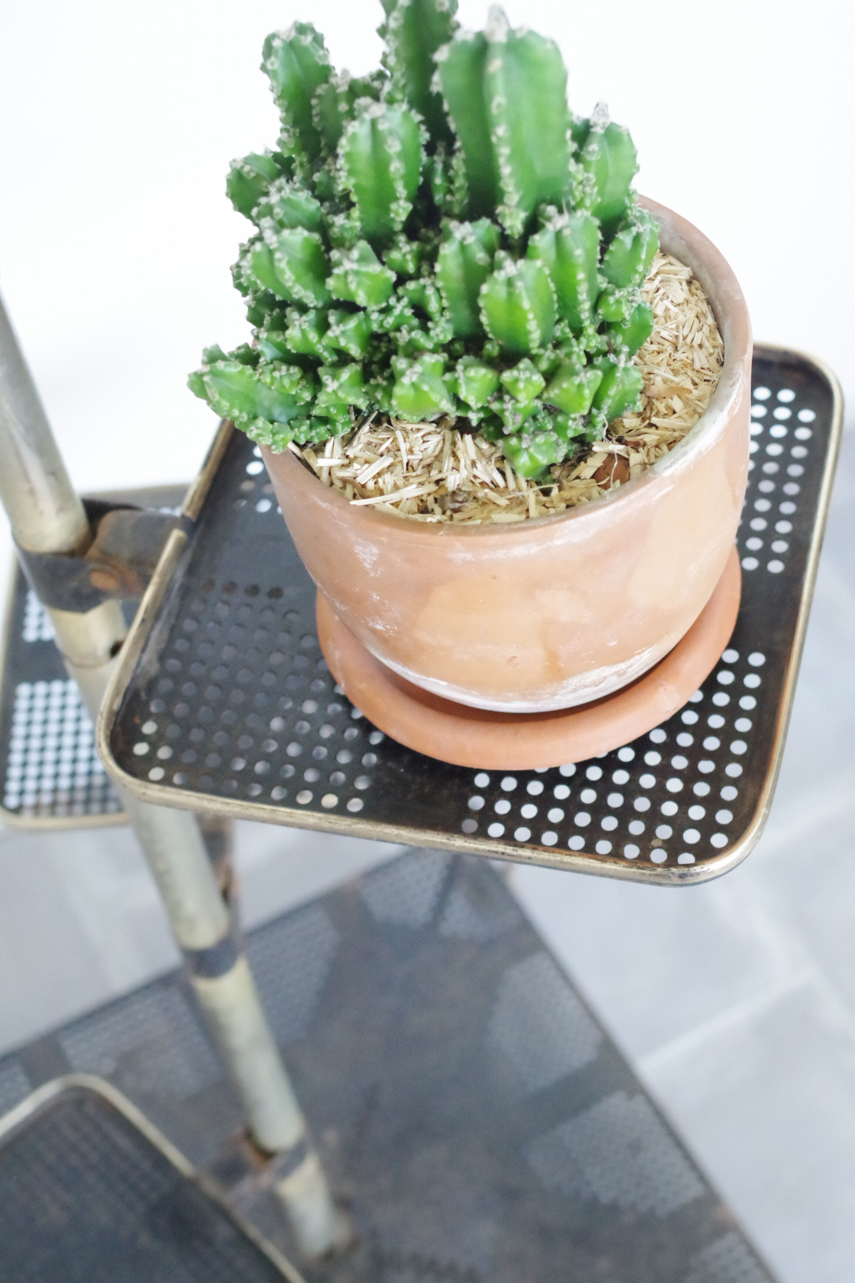 Porte plantes Kovona vintage années 60