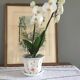 Cache pot vintage en céramique anglaise