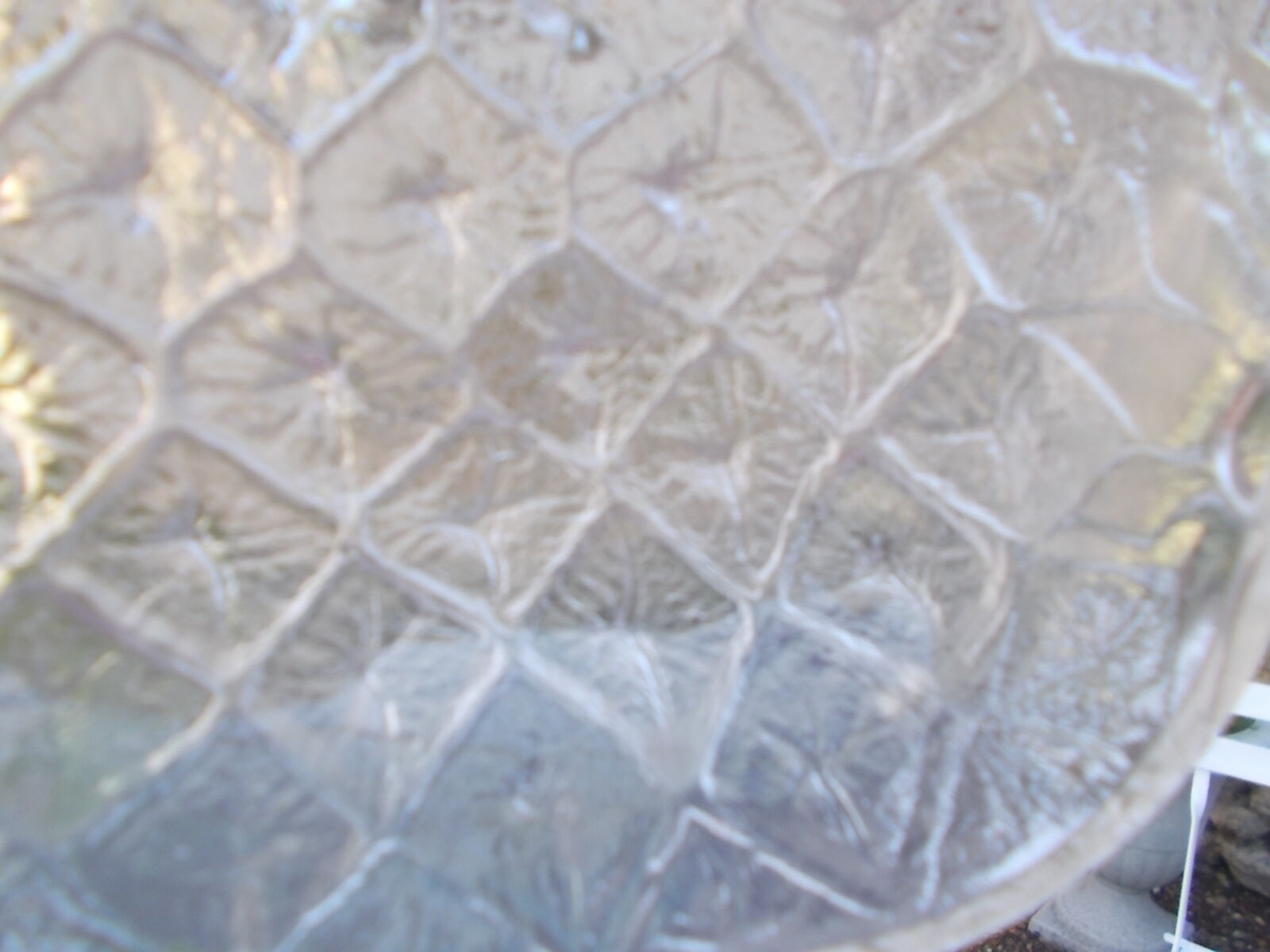 Pineapple fruit salad service