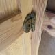 Vintage Parisian wardrobe with one mirrored door from the 60s in pine and wood
