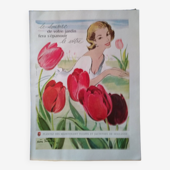 A dutch tulip theme paper advertisement from a period magazine 1956