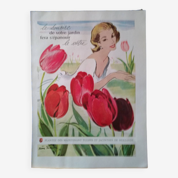 Une publicité papier thème tulipe de hollande issue revue d'époque 1956