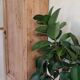 Armoire vintage en bois de chêne