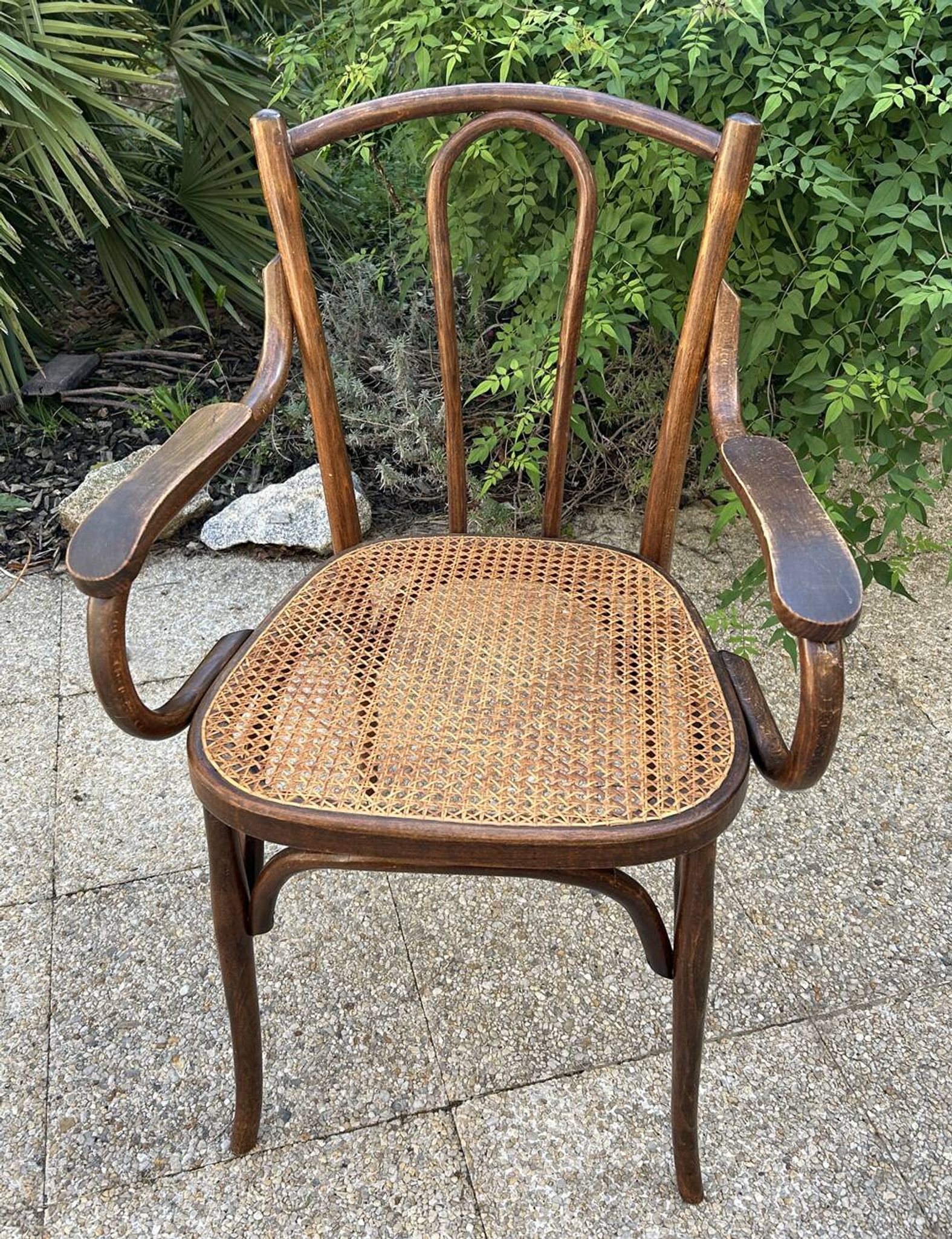 Fauteuil bois courbé canné Baumann, 1900
