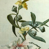 Pair of large watercolors. Bouquets of flowers Late nineteenth, early twentieth Stunt wooden frames and d