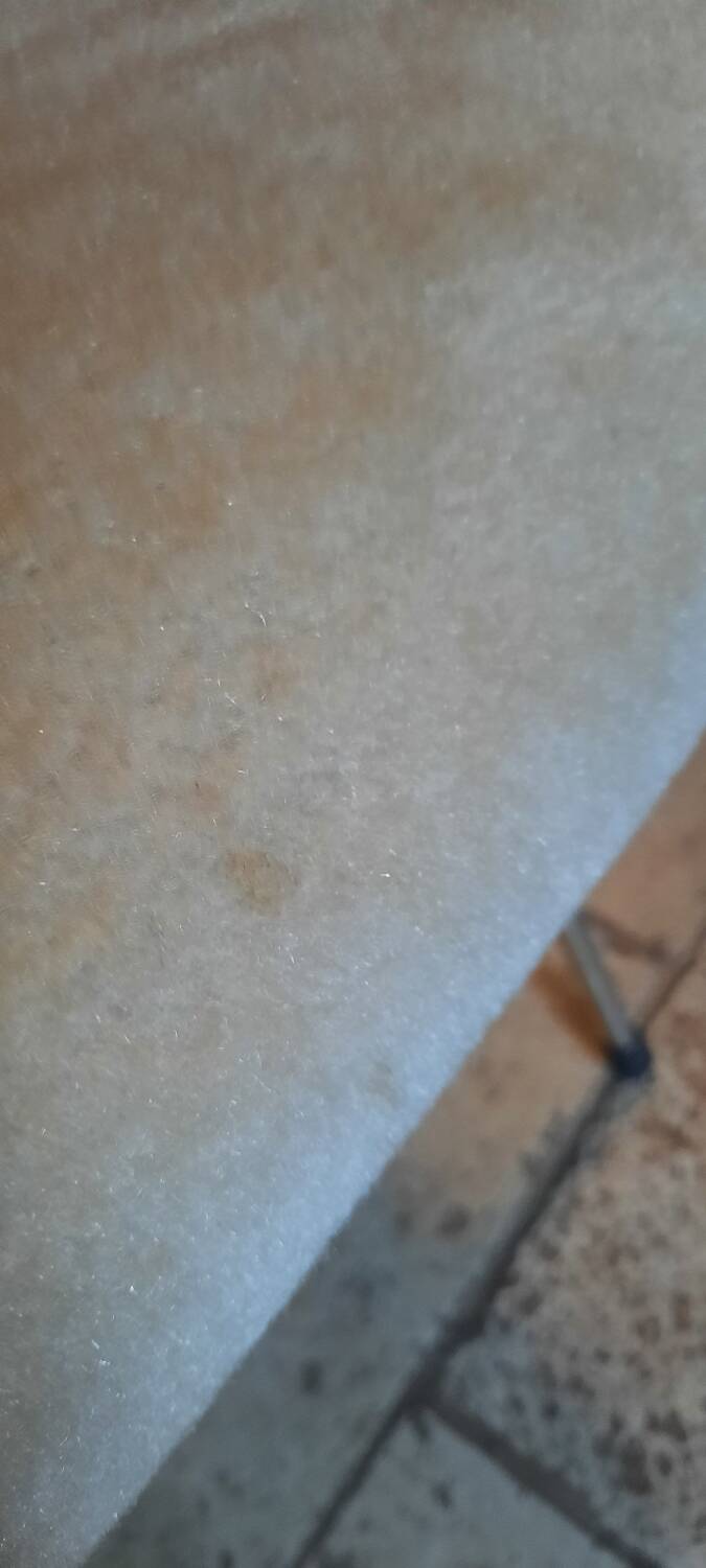 Pelfran Kiss model armchair