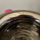 Stainless steel pitcher