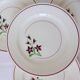 4 flat plates from Salins 210656