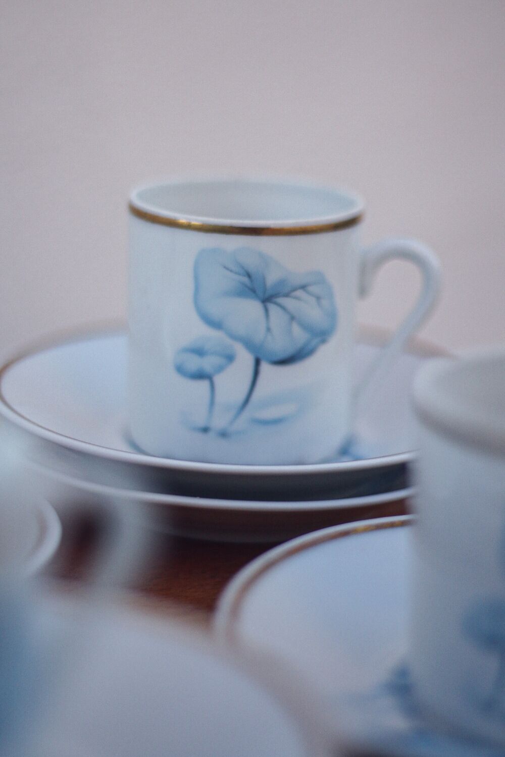 Set of 8 cups and saucers Deshoulieres Limoges