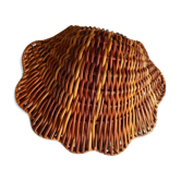Empty basket-shell pocket