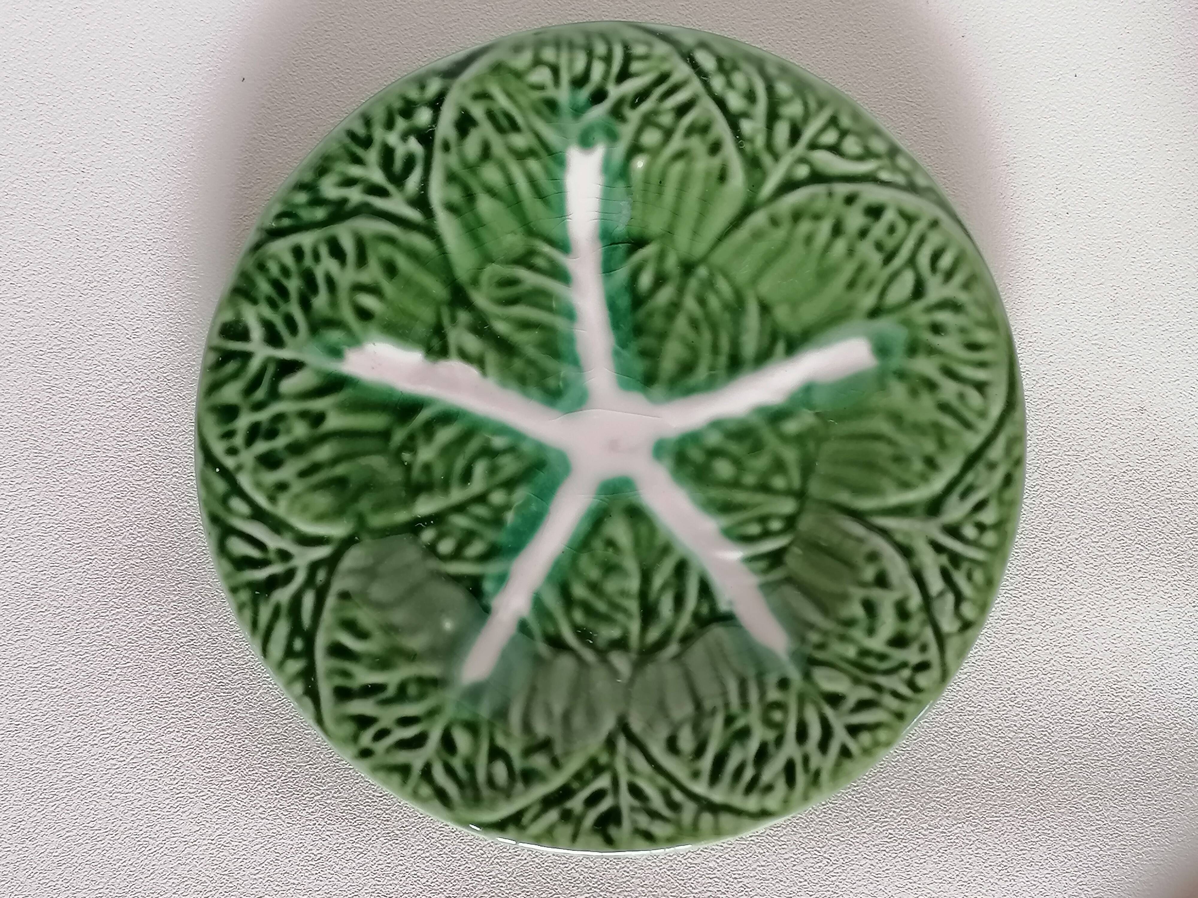 Two bowls in dabbling and their plates leaves cabbage