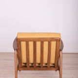 Armchair 300-139 by Swarzędzka Furniture Factory, 1960s