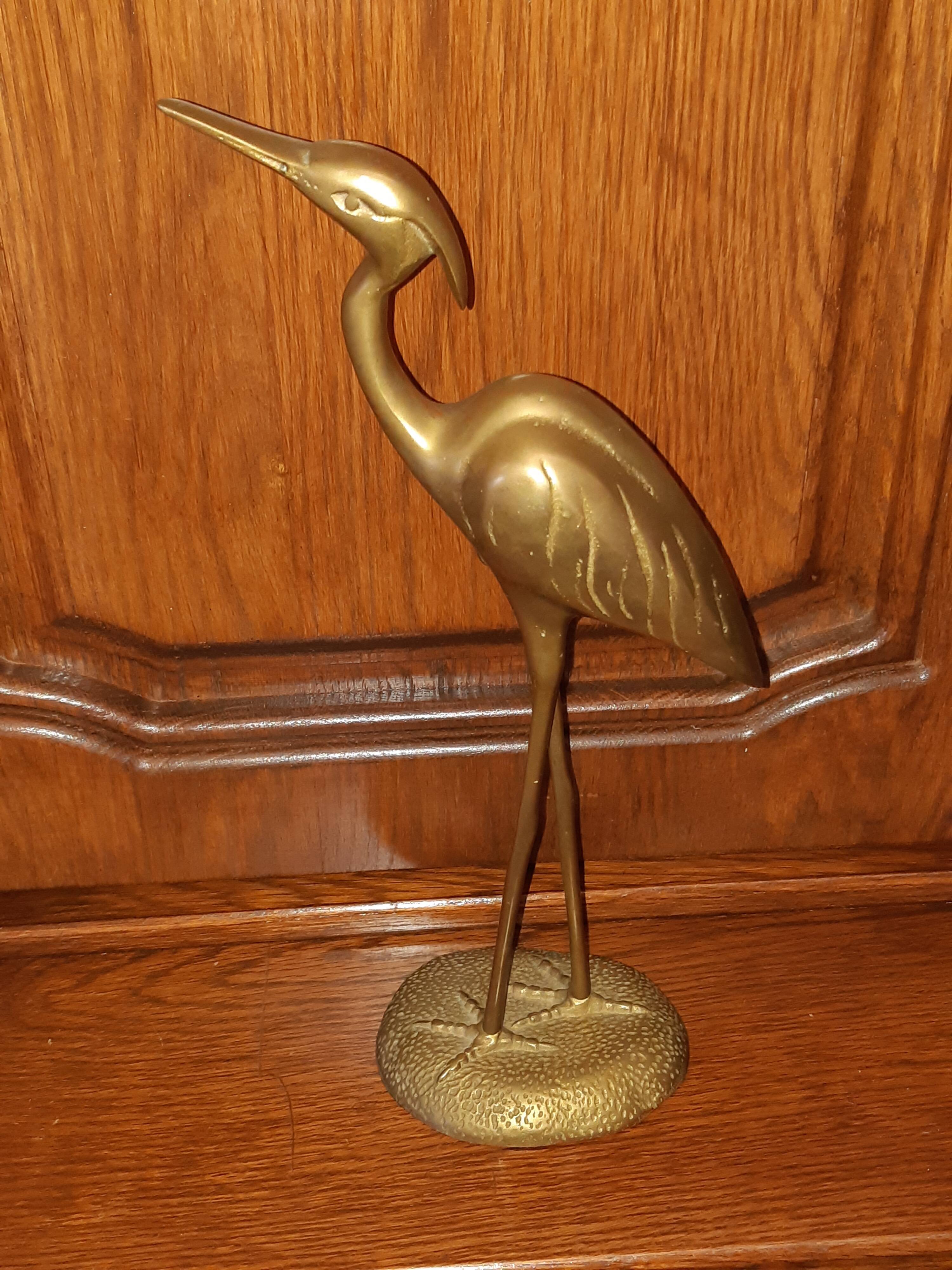 Brass-bronze egret bird