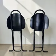 Set of 2 vintage folding chairs Dafne by Gastone Rinaldi for La Tema