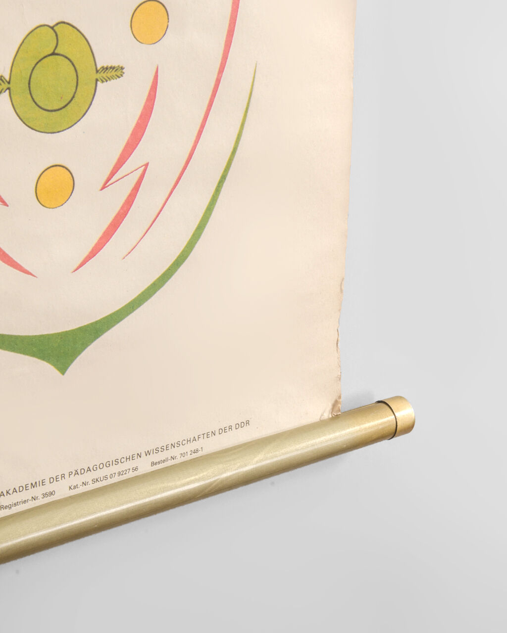 Affiche botanique Volk Und Wissen Volkseigener Verlag