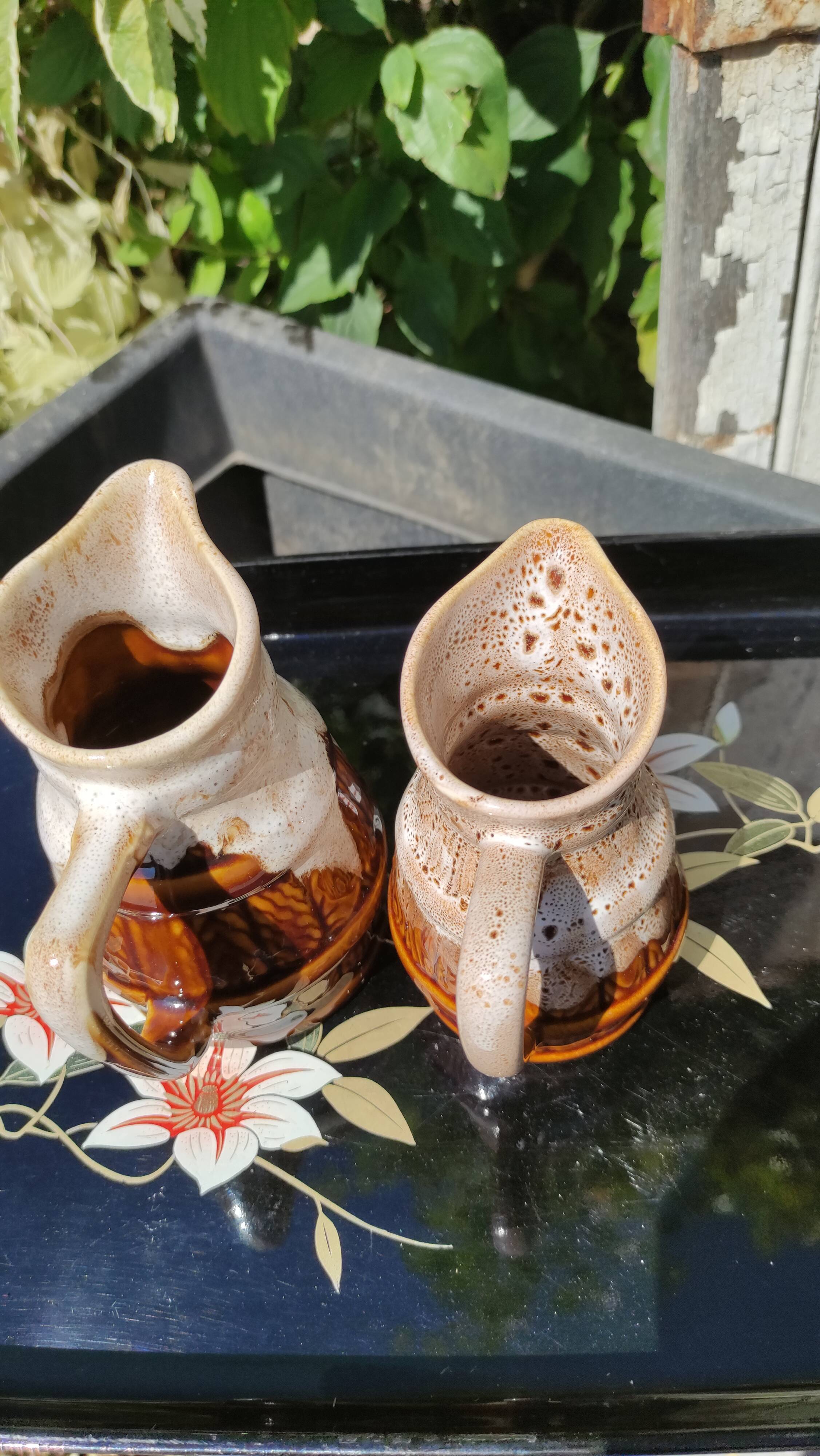Duo of vintage pitchers Revol
