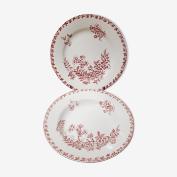 Lot 2 assiettes Saint Amand