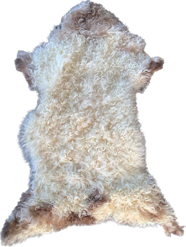 Peau Agneau du Béarn Neuve