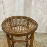Fischel cane stool