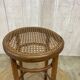 Fischel cane stool