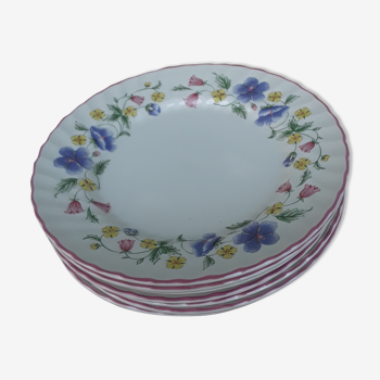 Set de 7 assiettes faience anglaise