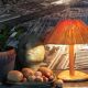 Table lamp in wood and rattan, 50s raffia lampshade