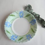 Green arcopal hollow plates