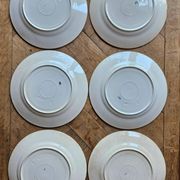 Flat plates, ironstone, poppies